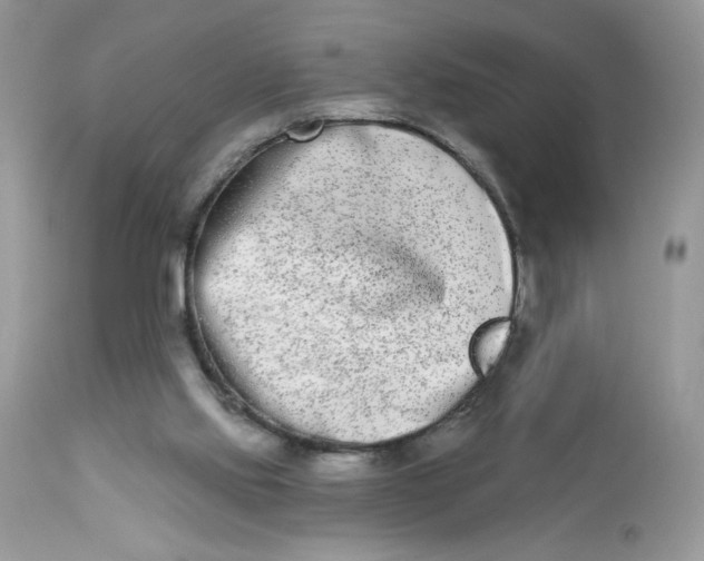 X0000112860061200909111519