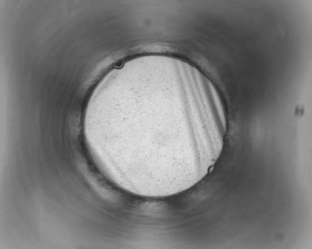 X0000112860063200909111519