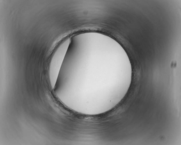 X0000112860064200909111519