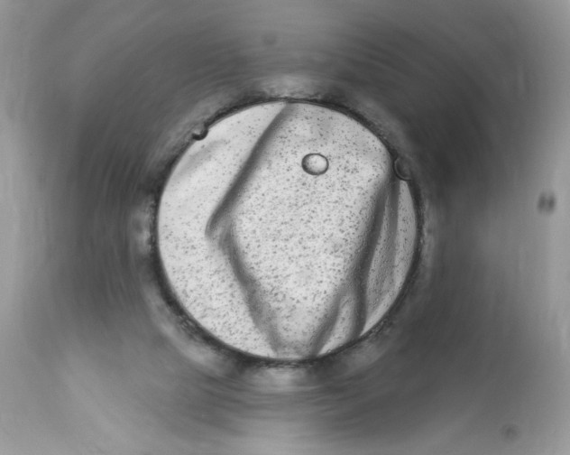 X0000112860065200909111519