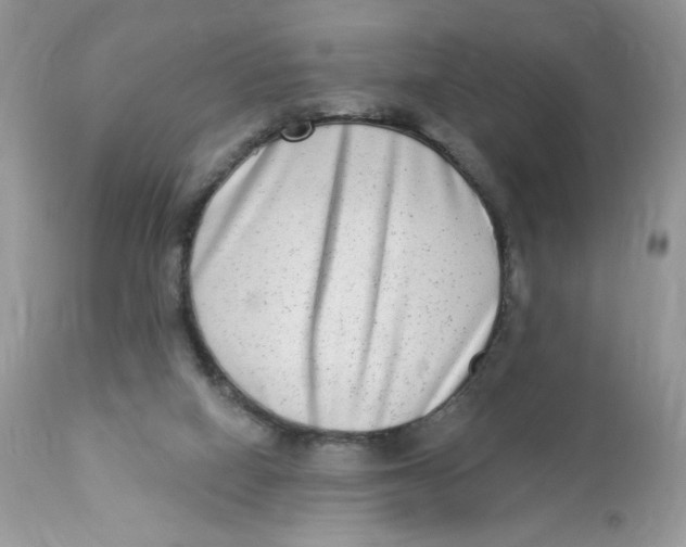 X0000112860066200909111519