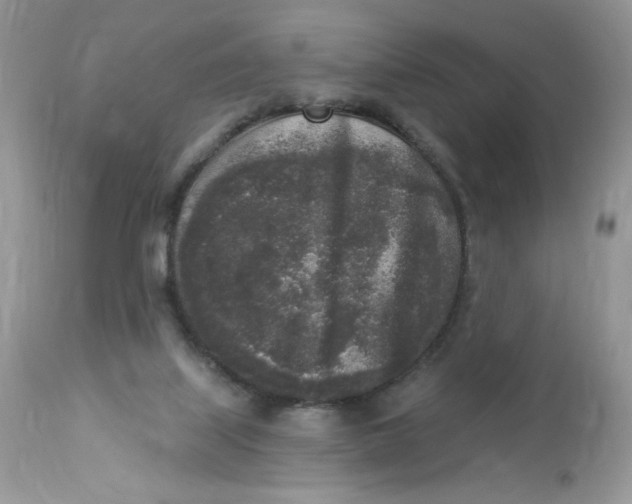 X0000112860067200909111519