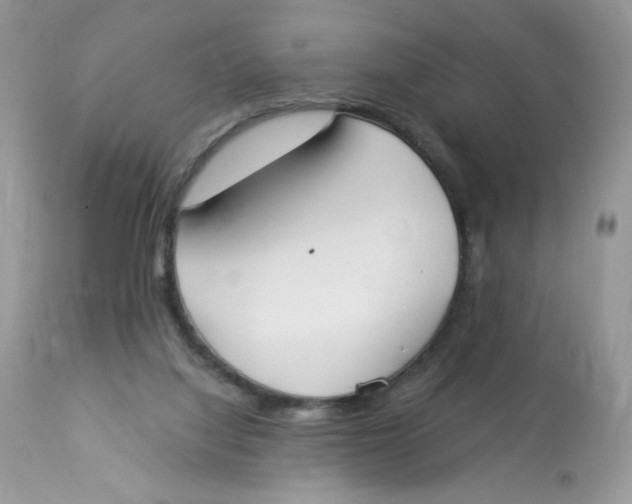 X0000112860068200909111519