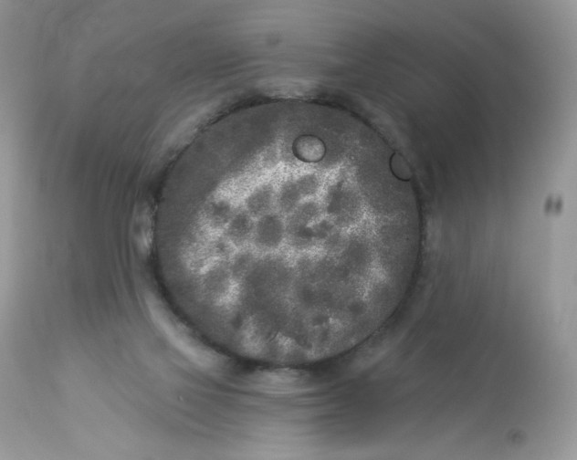 X0000112860069200909111519