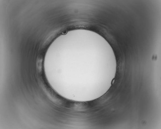 X0000112860070200909111519