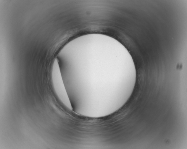 X0000112860072200909111519