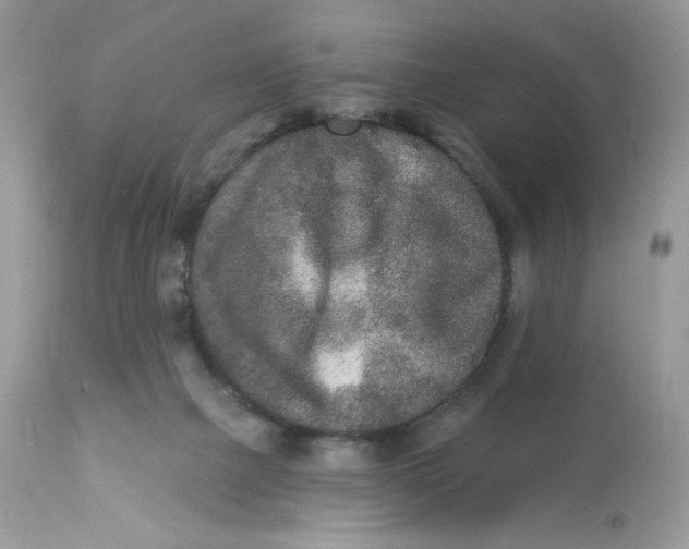 X0000112860073200909111519