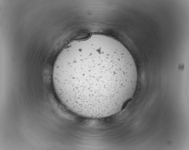 X0000112860074200909111519