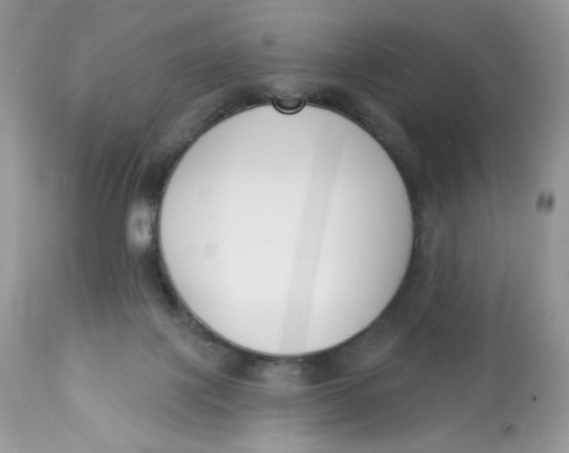 X0000112860075200909111519