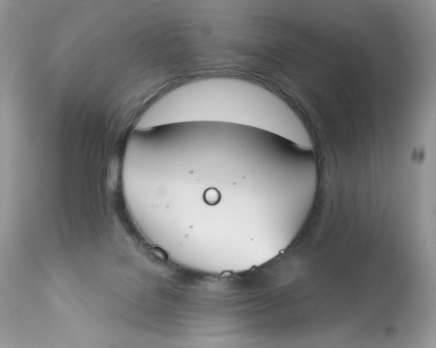 X0000112860076200909111519