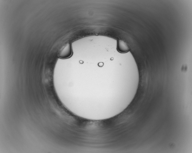 X0000112860077200909111519