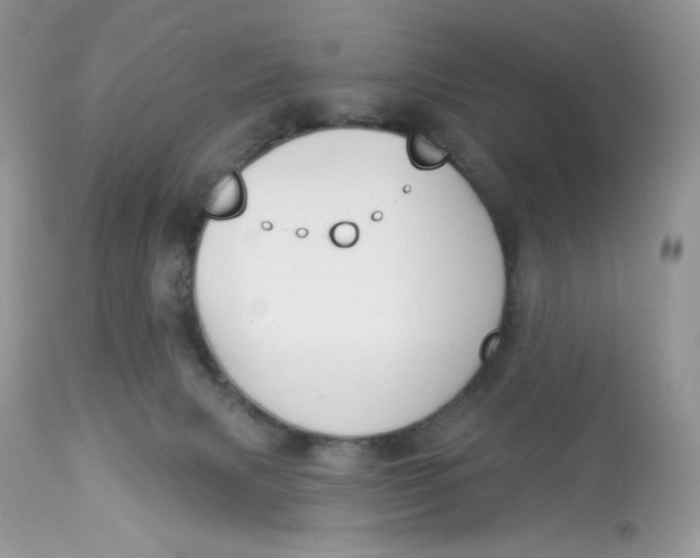 X0000112860079200909111519