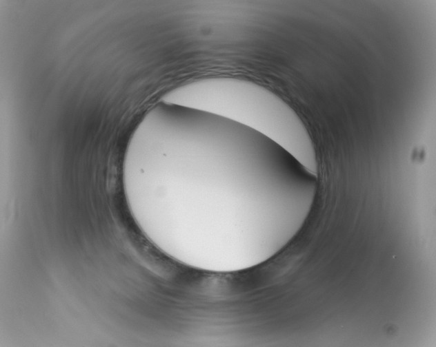 X0000112860080200909111519