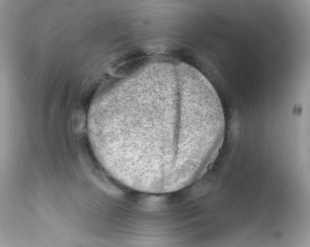 X0000112860081200909111519