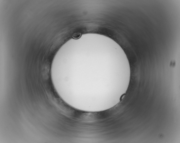 X0000112860082200909111519