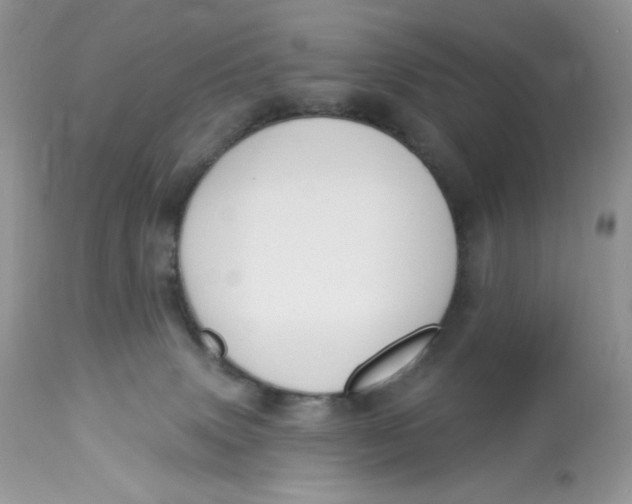 X0000112860083200909111519