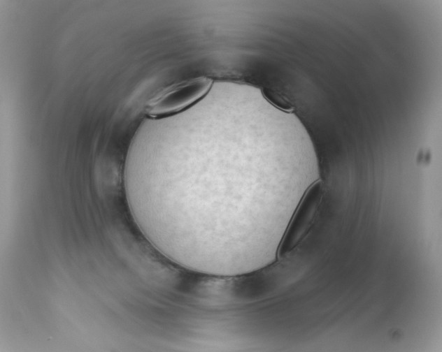 X0000112860084200909111519