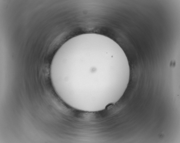 X0000112860085200909111519