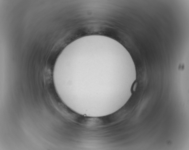 X0000112860087200909111519