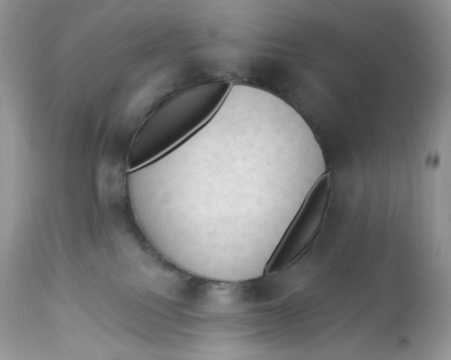 X0000112860088200909111519