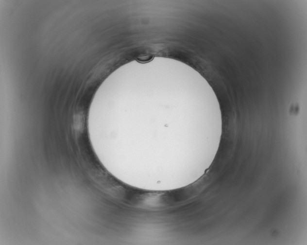 X0000112860090200909111519