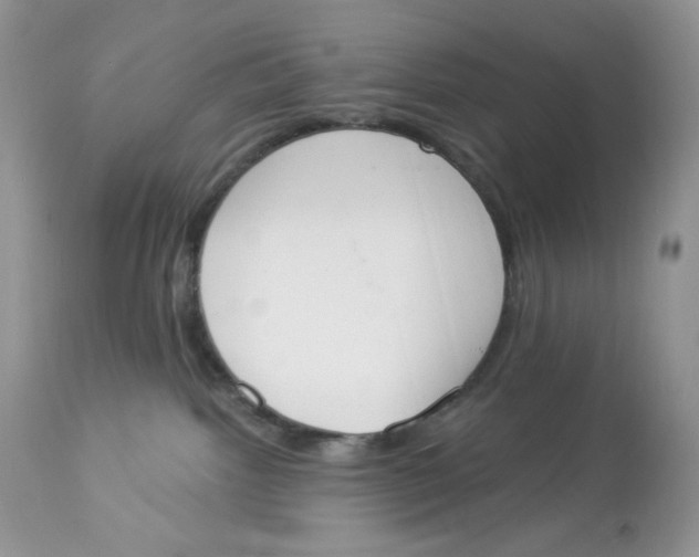 X0000112860092200909111519