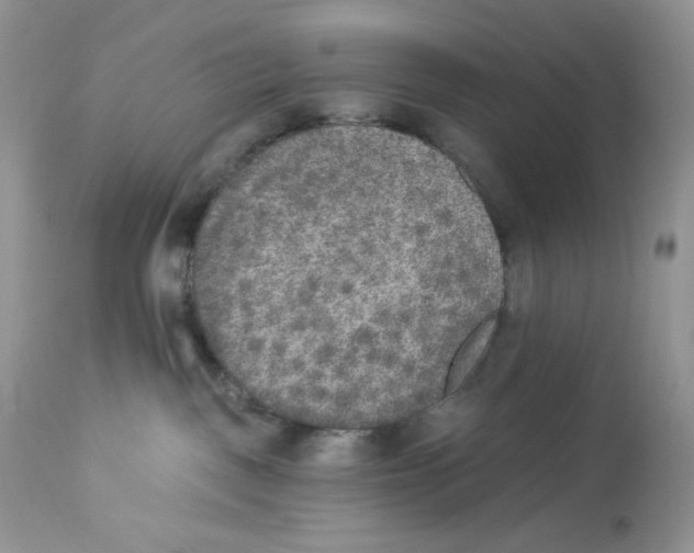 X0000112860093200909111519