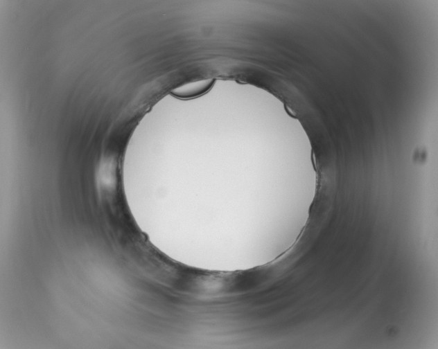 X0000112860094200909111519