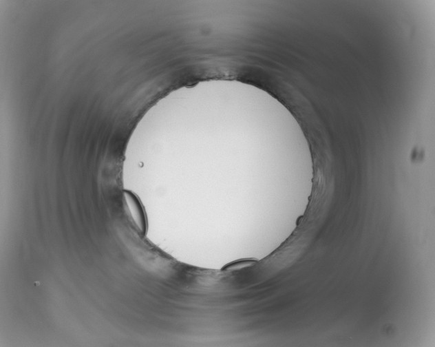 X0000112860096200909111519