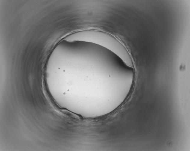 X0000112860097200909111518