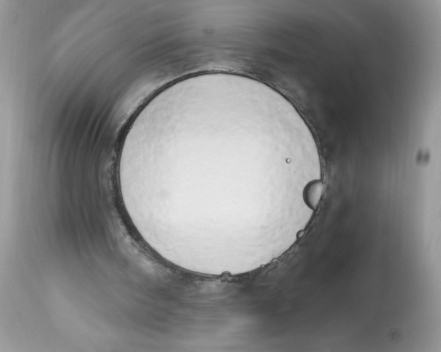 X0000112860098200909111518