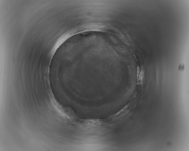 X0000112860099200909111518