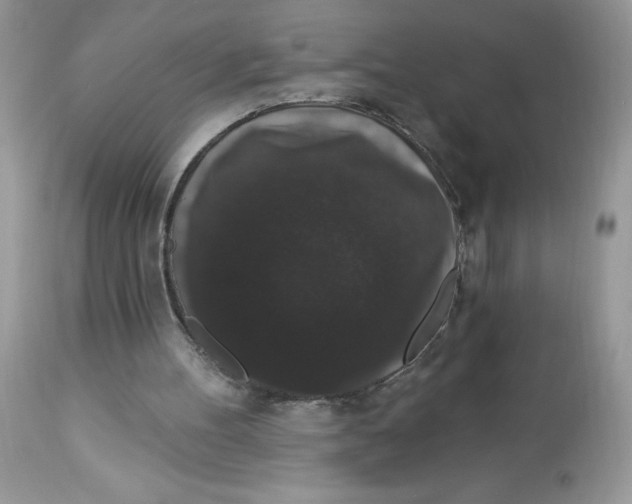 X0000112860100200909111518