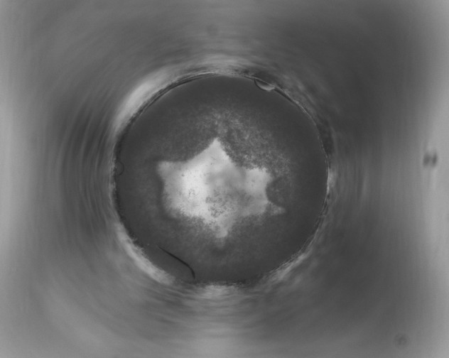 X0000112860101200909111518