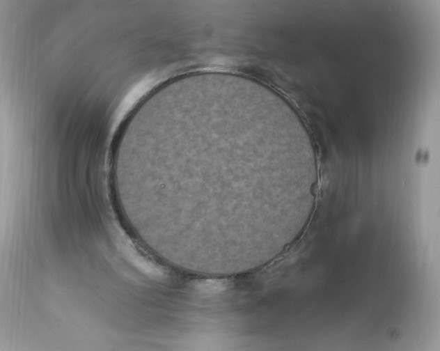 X0000112860102200909111518