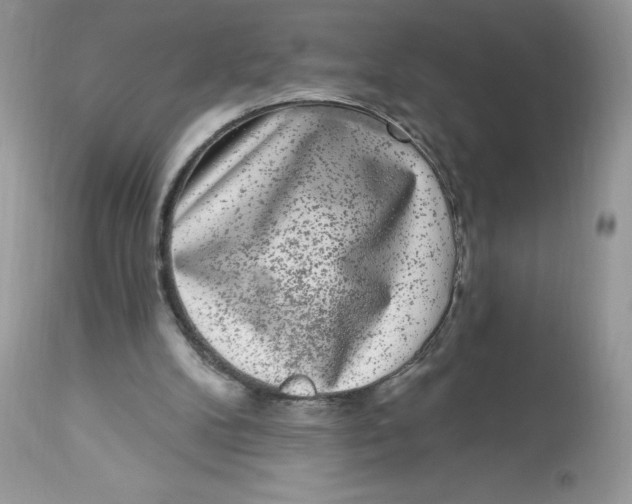 X0000112860104200909111518