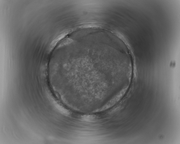 X0000112860105200909111518