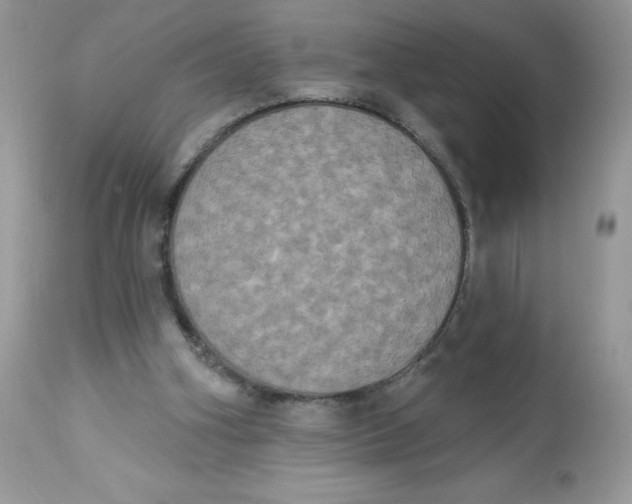 X0000112860106200909111518