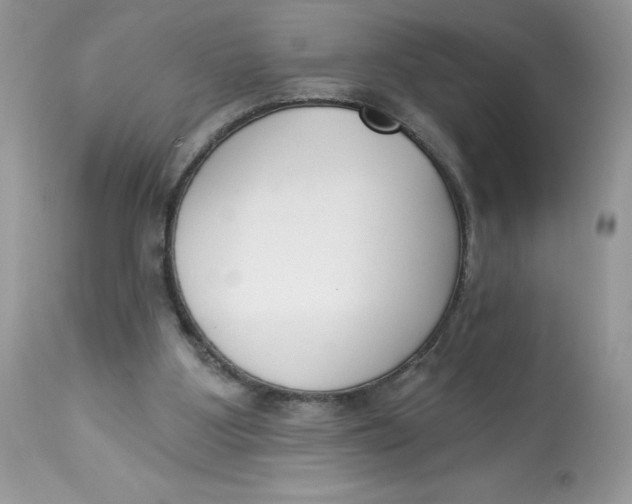 X0000112860107200909111518