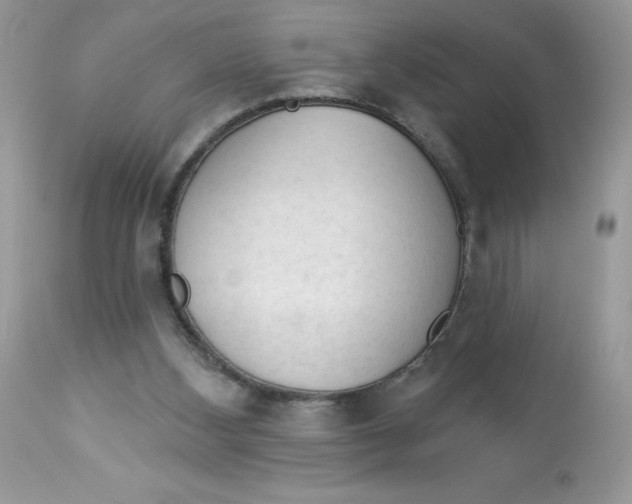 X0000112860108200909111518