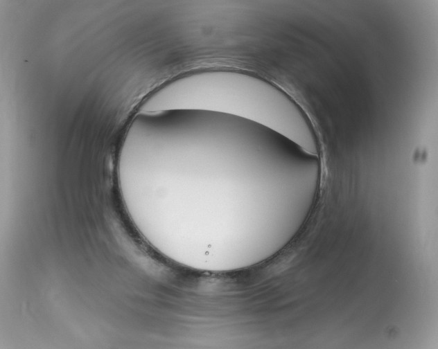 X0000112860109200909111518