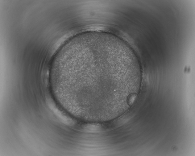 X0000112860110200909111518