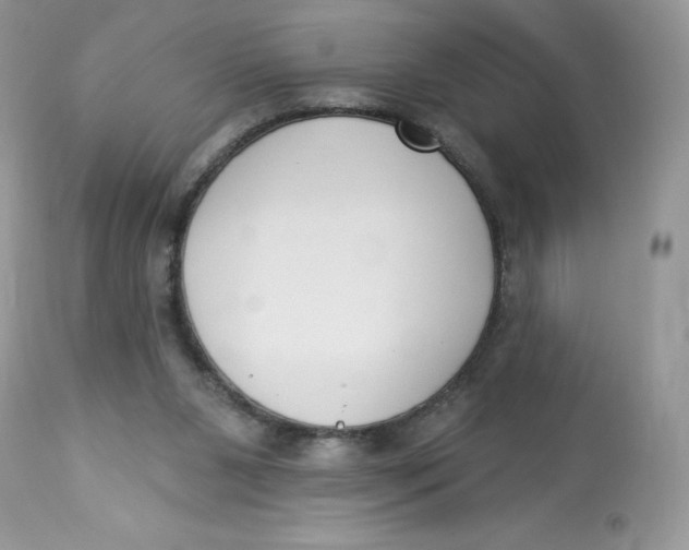 X0000112860111200909111518