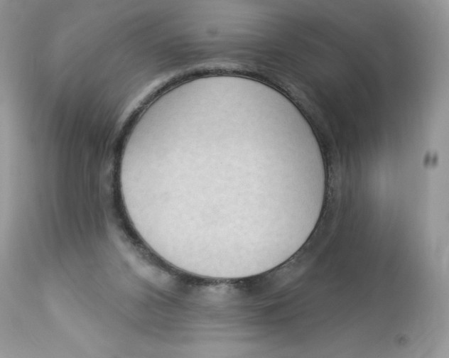 X0000112860112200909111518