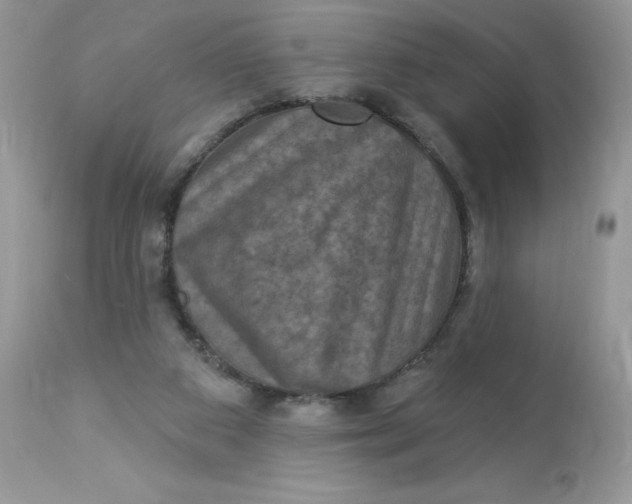 X0000112860113200909111518