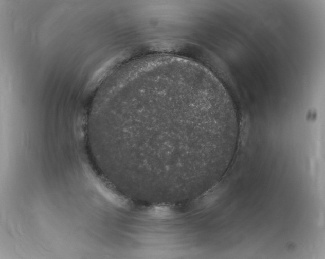 X0000112860114200909111518