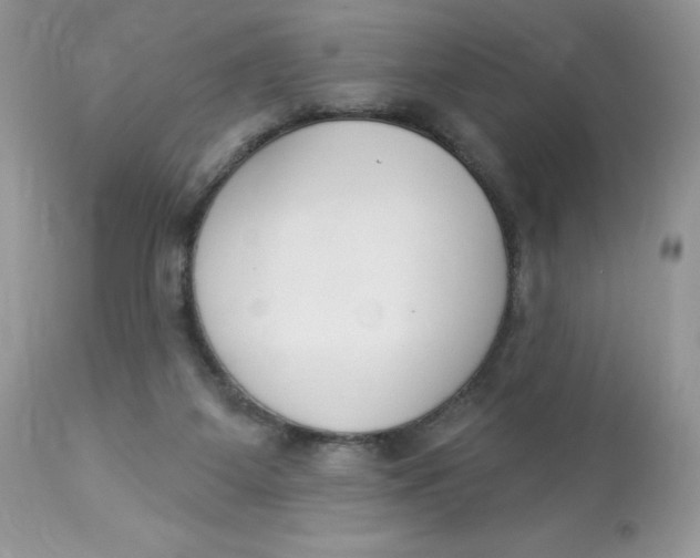 X0000112860115200909111518