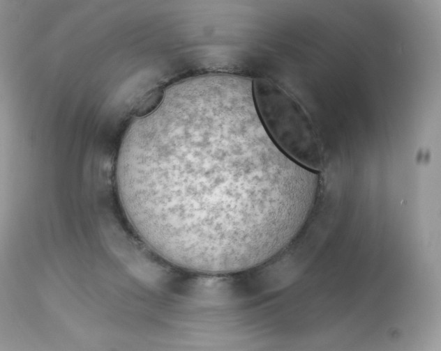 X0000112860117200909111518