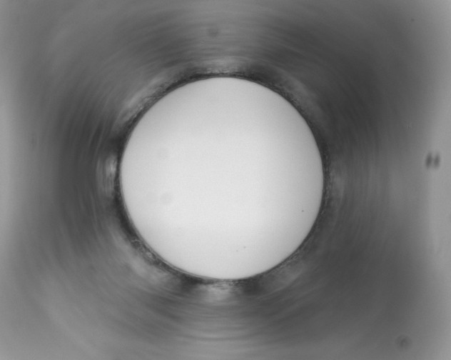 X0000112860118200909111518