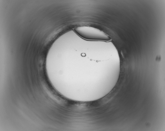 X0000112860120200909111518